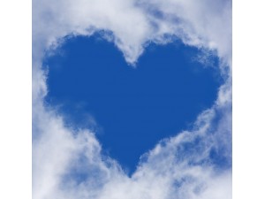 Q/R Amour
