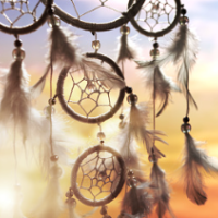 Atelier de Méditation guidée<br>avec Terry Laframboise